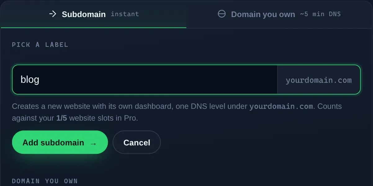 The add-website panel: Subdomain for instant, or a domain you own