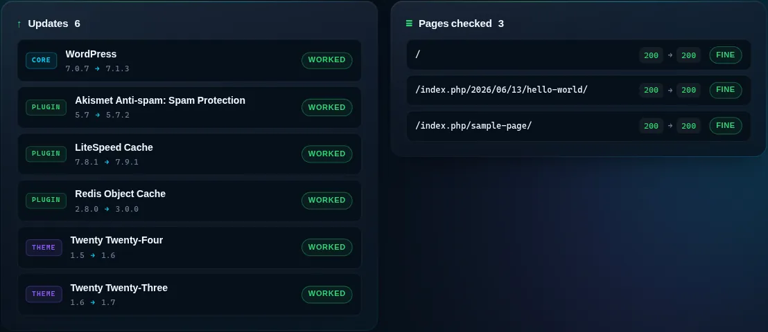 The Updates and Pages checked lists of a safe update report