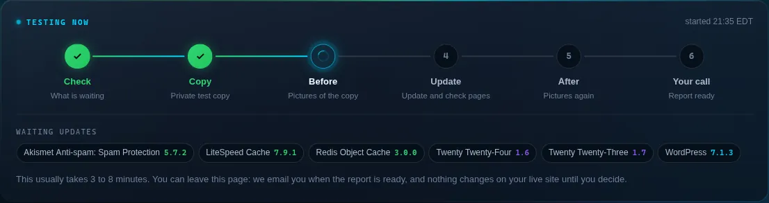 A safe update test in progress, with the steps Check, Copy, Before, Update, After and Your call