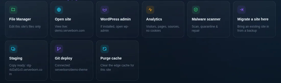 Website tools in the panel with the Staging and Git deploy tiles
