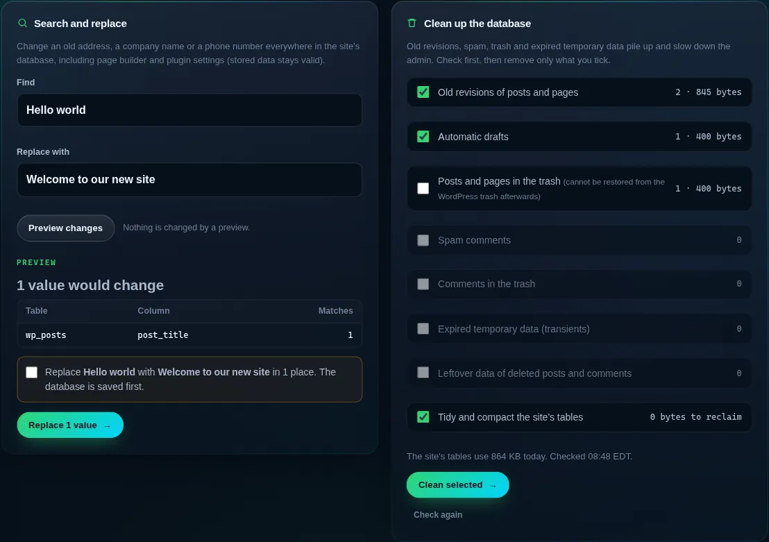 Database tools with a search and replace preview and the cleanup checklist